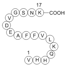 Amyloid Beta-Peptide(12-28)(human)图片