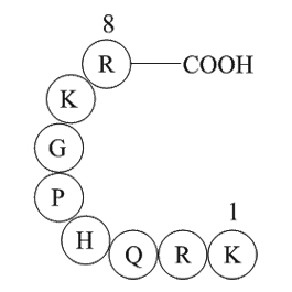 TRH Precursor Peptide图片