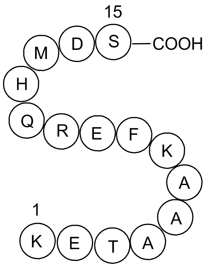 S Tag Peptide图片