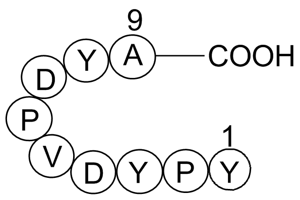 Influenza Hemagglutinin(HA)Peptide图片