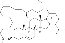 13(R)-HODE cholesteryl ester图片