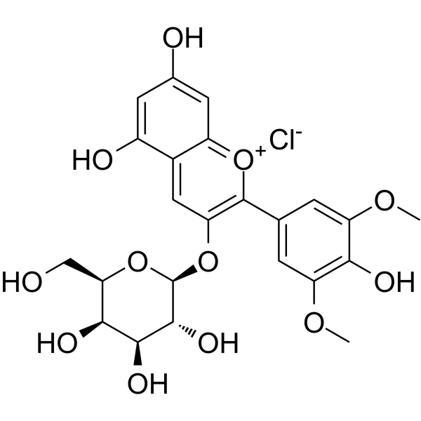 Malvidin-3-galactoside chloride图片