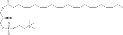 1-Docosahexaenoyl-2-hydroxy-sn-glycero-3-PC图片