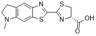 CycLuc2图片