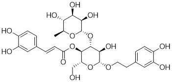 Verbascoside(Acteoside Kusaginin TJC160)图片