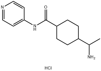 Y 27632图片