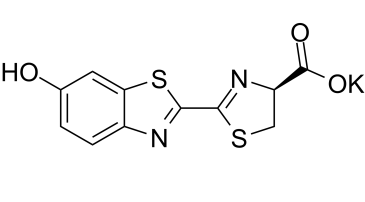D-Luciferin potassium图片