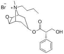 Butylscopolamine bromide图片