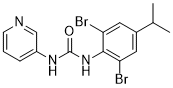 BX430图片
