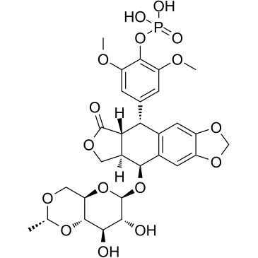 Etoposide Phosphate(BMY-40481)图片