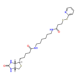 Biotin-HPDP图片