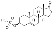 Prasterone sulfate图片