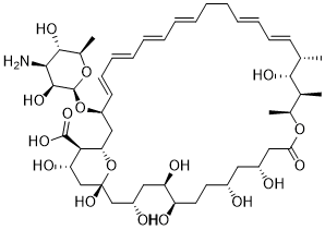 Amphotericin A图片