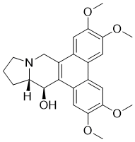 Tylophorine,(-)-图片