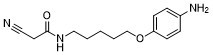 Acetamide,N-(5-(p-aminophenoxy)pentyl)-2-cyano-图片