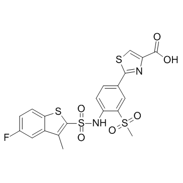 TY-51469图片