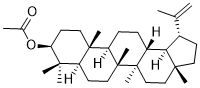 3-Acetyllupeol图片