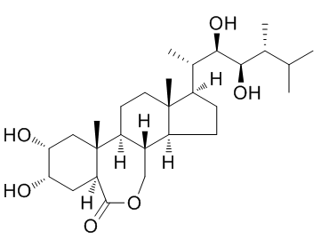 Epibrassinolide(24-Epibrassinolide B1105 BP55)ͼƬ