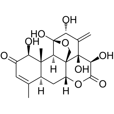 Eurycomanone(Pasakbumin A)图片