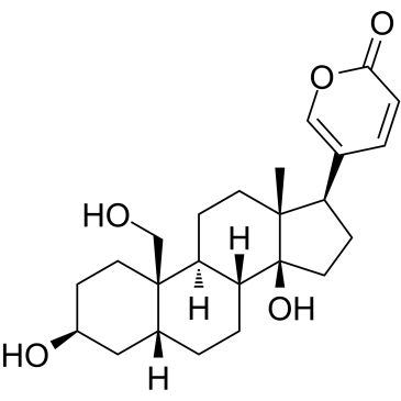 19-Hydroxybufalin图片