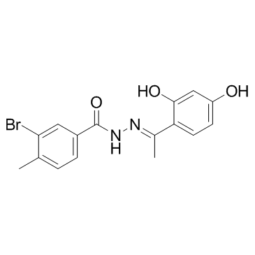 mTOR inhibitor-1图片
