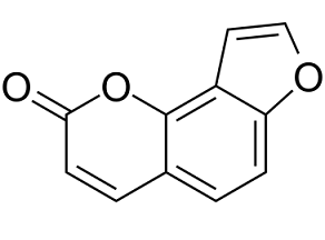 Angelicin(Isopsoralen)图片