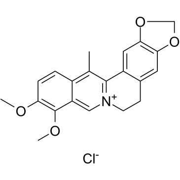 13-Methylberberine chloride图片