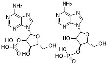 2'-Adenylic acid图片