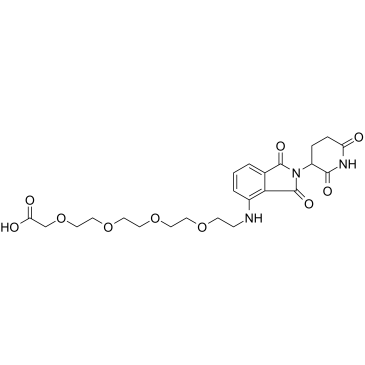 E3 Ligase Ligand-Linker Conjugates 1图片