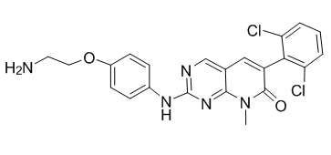 PP58图片