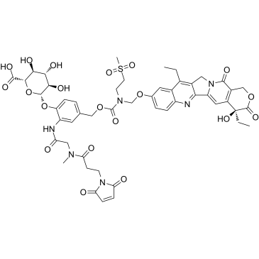 MAC glucuronide phenol-linked SN-38图片