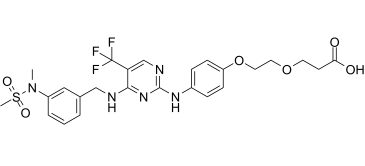 FAK ligand-Linker Conjugate 1图片