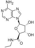 5'-N-Ethylcarboxamidoadenosine图片