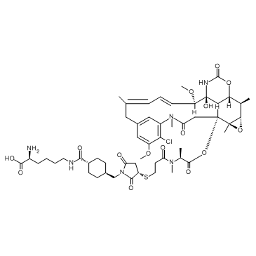 Lys-SMCC-DM1 TFA图片