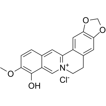 Berberrubine chloride图片