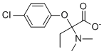 Meclofenoxate(Centrophenoxine)图片