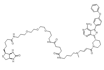 Ibrutinib-biotin图片