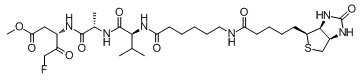 Biotin-VAD-FMK图片