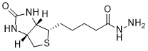 Biotin Hydrazide图片