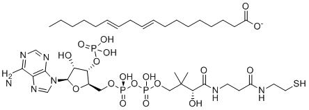 Linoleoyl-coenzyme A图片