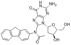 Acetylaminofluorene-dG图片