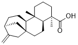 Kaurenoic acid图片