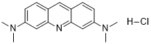 Acridine Orange图片