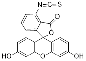 6-FITC图片
