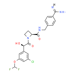 AR-H067637图片