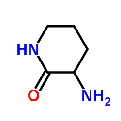 3-Amino-2-piperidinone图片