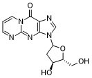 3-(2'-Deoxyribofuranosyl)pyrimido(1,2-a)purin-10(3H)-one图片