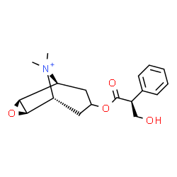 Methylscopolamine图片