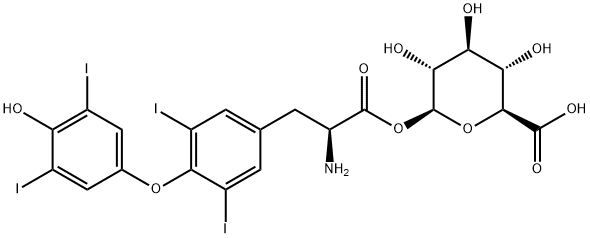 Levothyroxine acyl glucuronideͼƬ