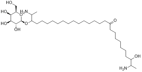 Rhizochaline图片